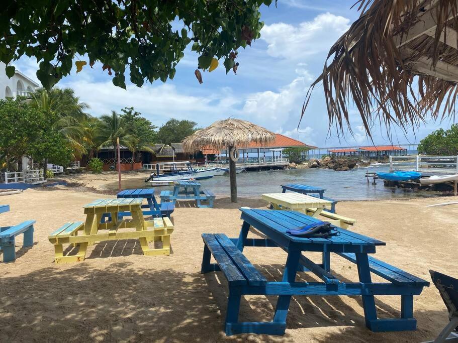 Lush Tropical Apartment Located In A 4-Star Resort Runaway Bay Exterior foto